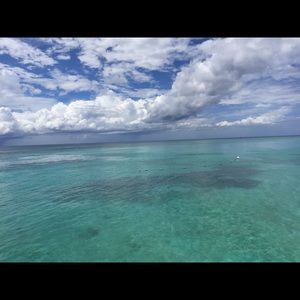 Meet your Posher, Casey